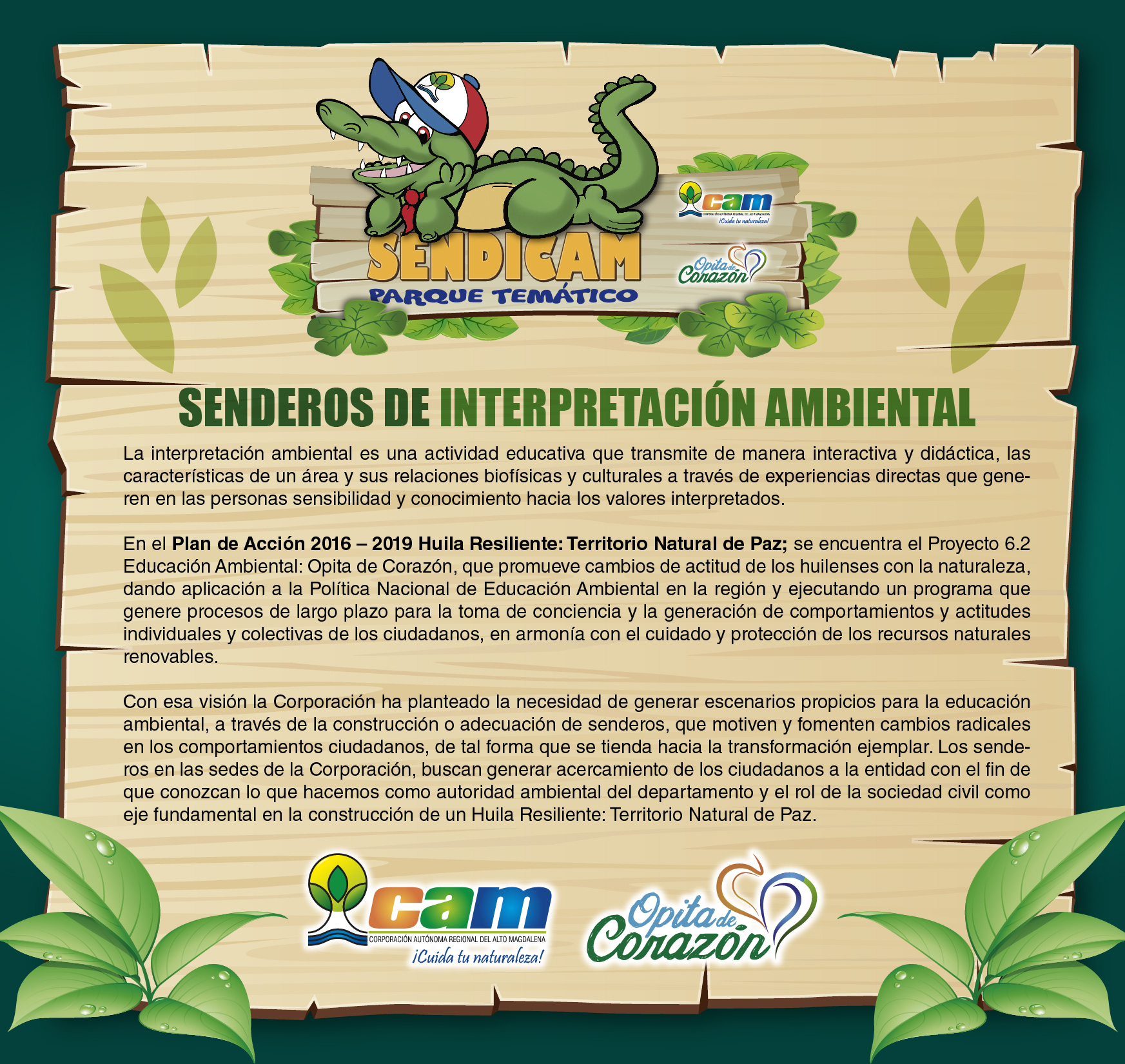TEXTO SENDICAM GENERAL