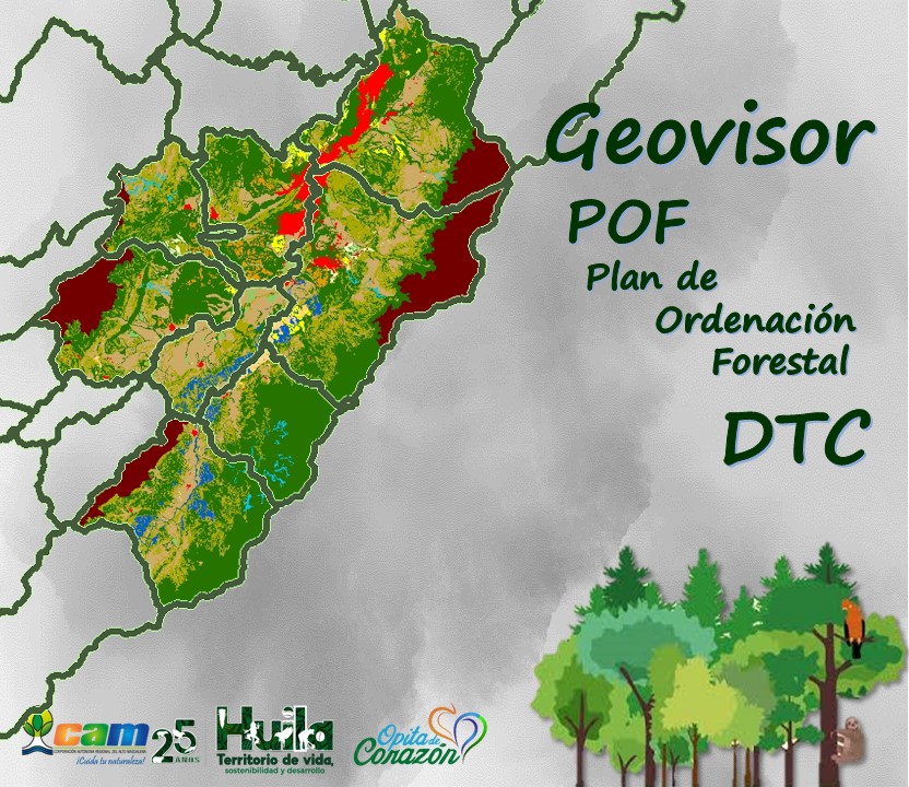 DTC POF