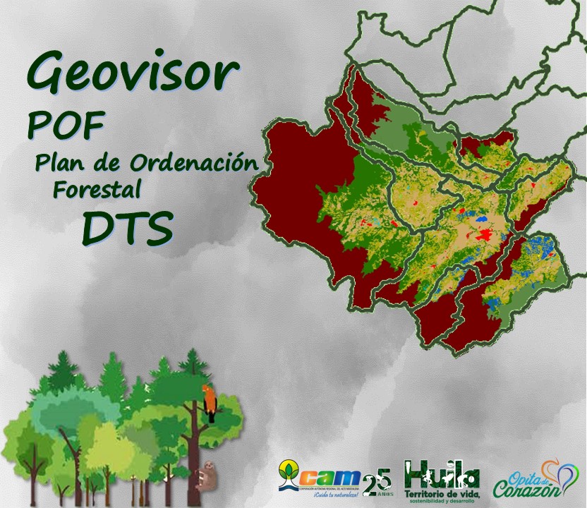 DTS POF