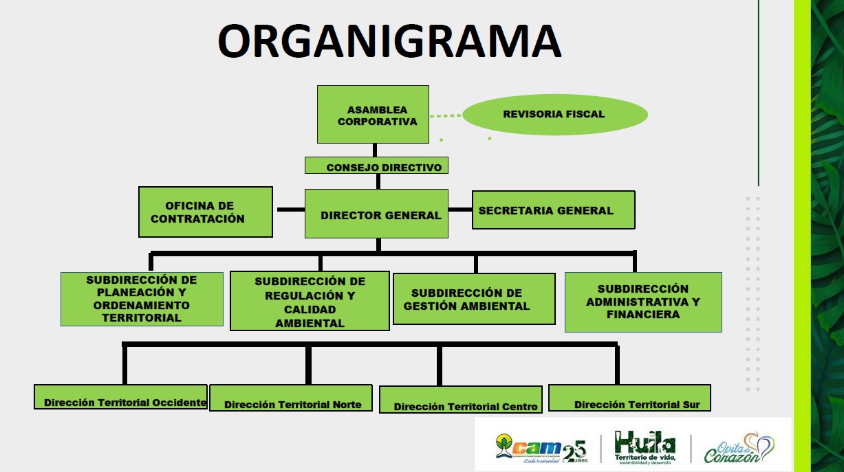 organigrama