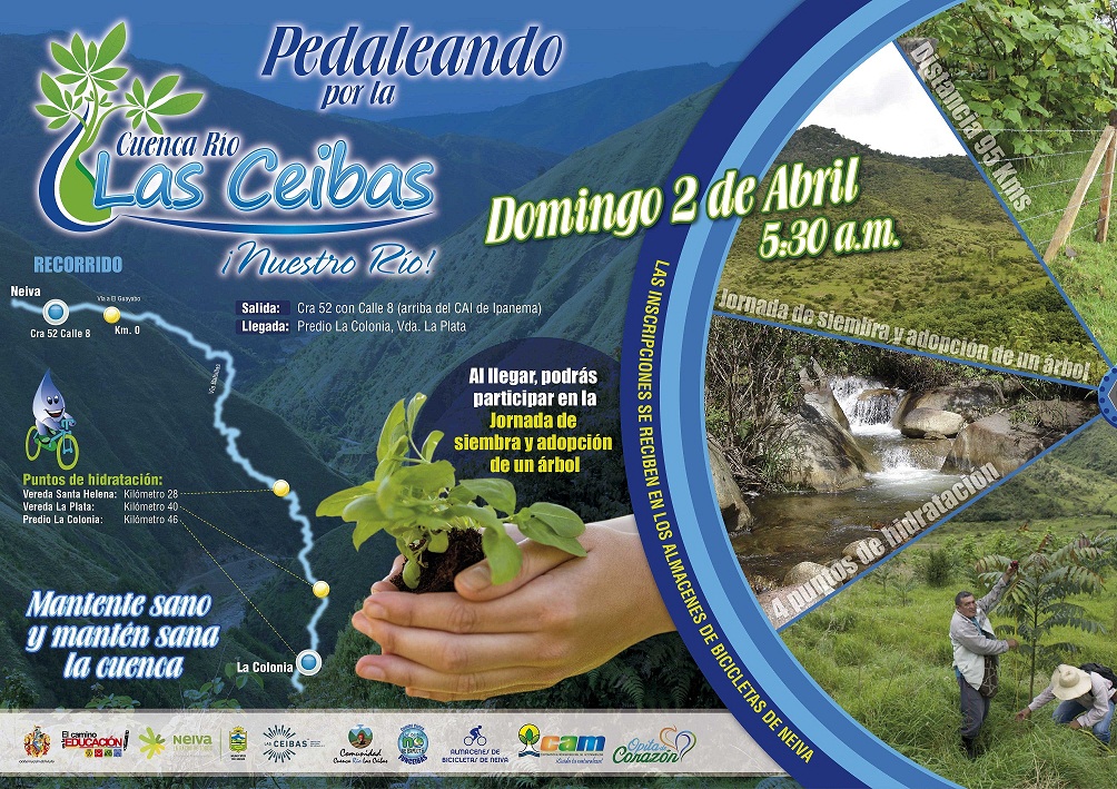 CICLORUTA