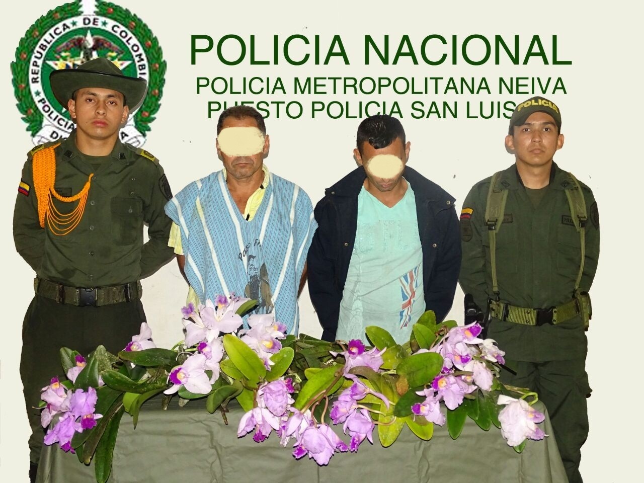 DECOMISO DE ORQUIDIAS