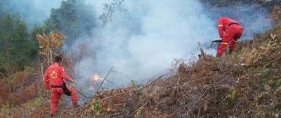 timana incendio