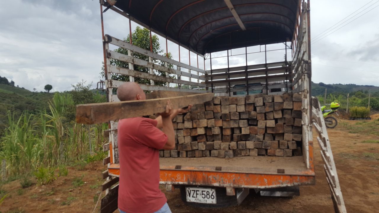 Decomiso de madera de roble en Palestina 1