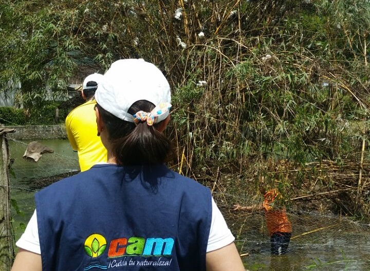 15 07 21 cam dts rescate de garzas 04