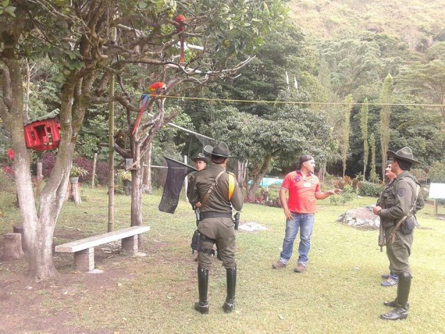 dts_incautacion_fauna_05