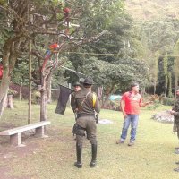 dts_incautacion_fauna_05