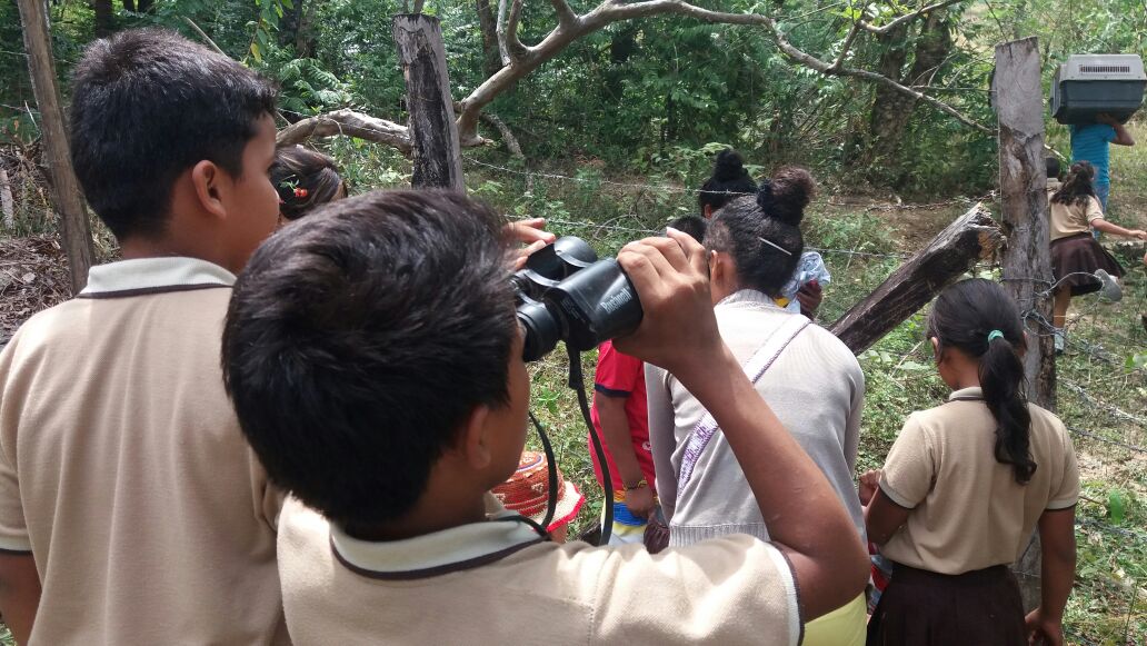 GRUPO DE MONITOREO DE FAUNA DE COMUNIDAD DE PANIQUITA 3