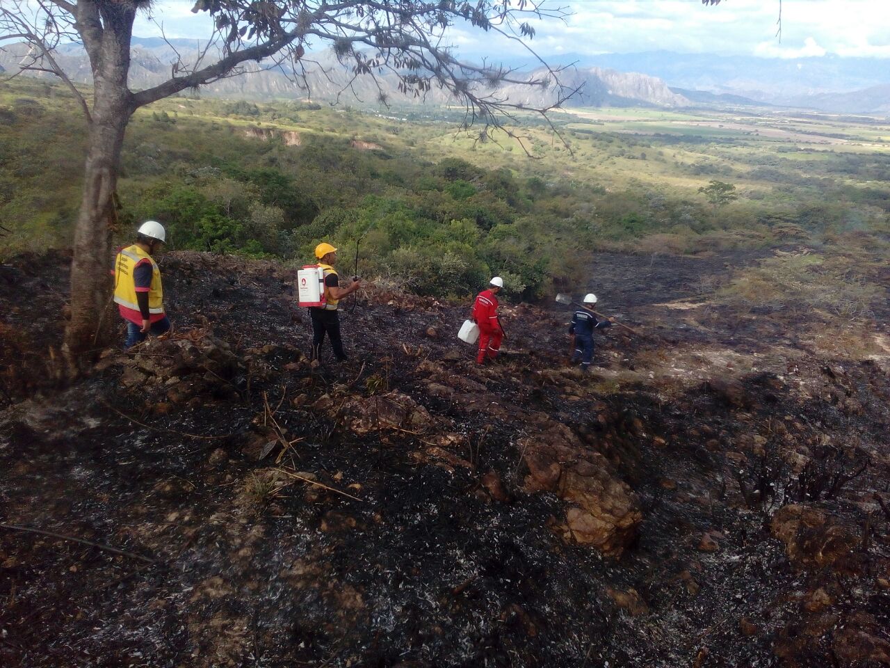 INCENDIOS DE COBERTURA VEGETAL 2