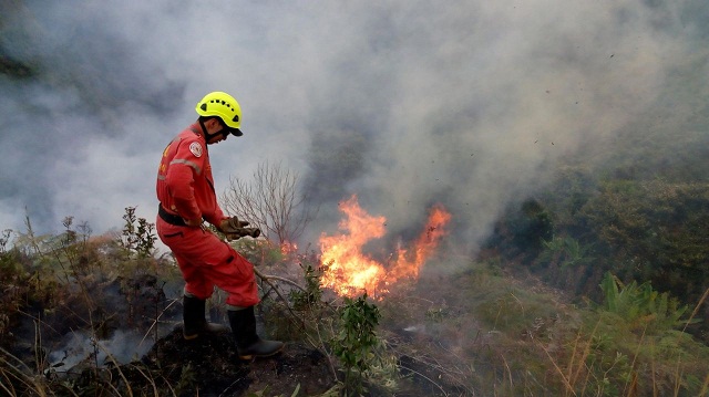 INCENDIOS DE COBERTURA VEGETAL 2018 1