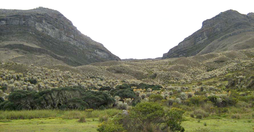 Paramos1