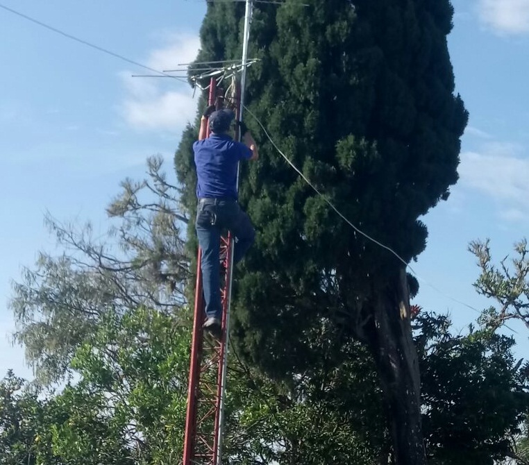 alarmasceibas