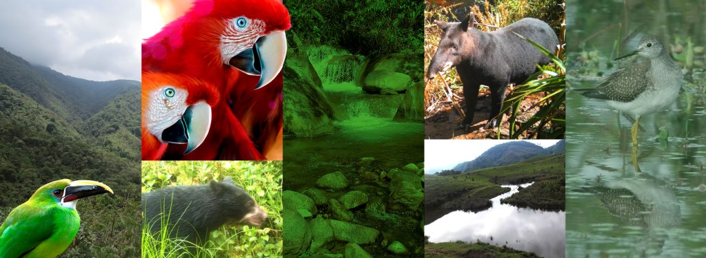 biodiversidad fondo