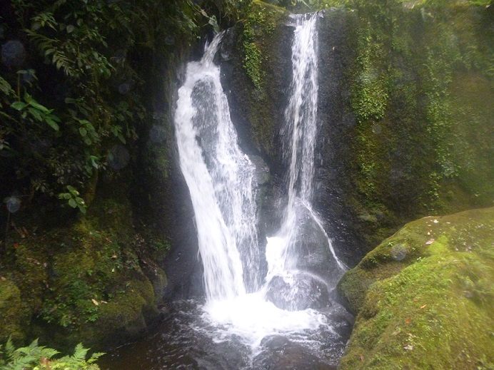 quebrada la negra vda los andes tarqui