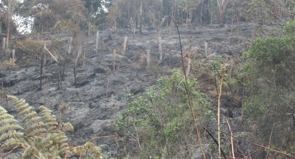 incendio en serrana de peas blancas