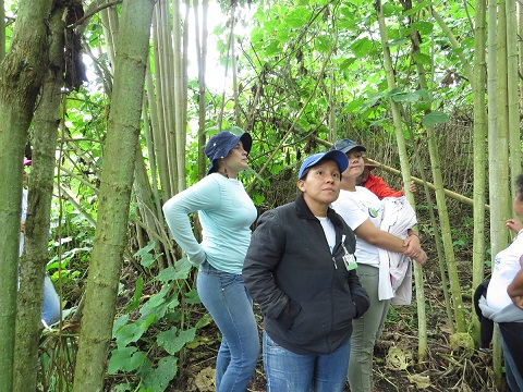 15 09 03 ceibas camara fauna 02