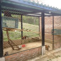 area_de_mantenimiento
