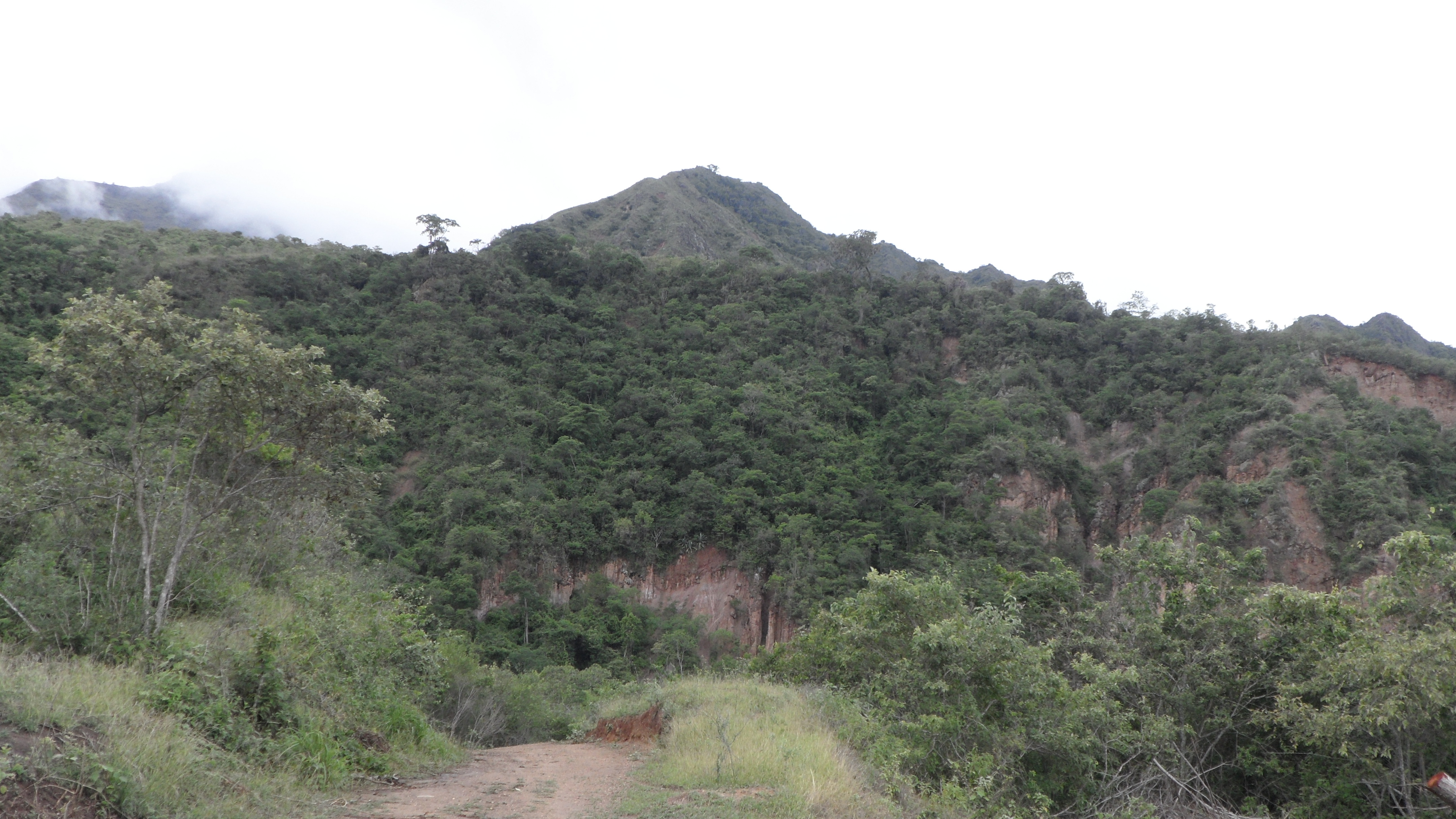 zona de no aprovechamiento forestal phe quimbo 4