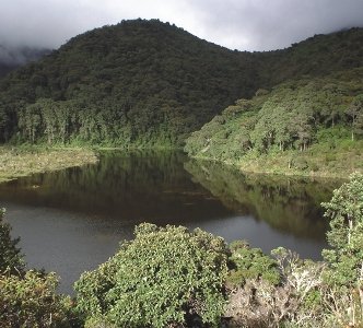 Macizo Colombiano