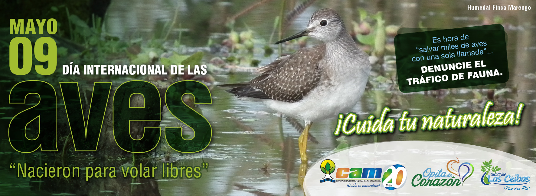 15 05 -dia de las aves web