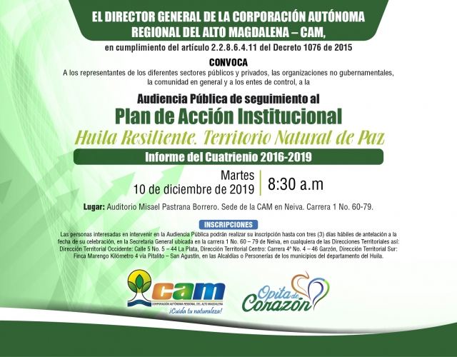 AUDIENCIA PUBLICA CUATRIENIO 2019 03
