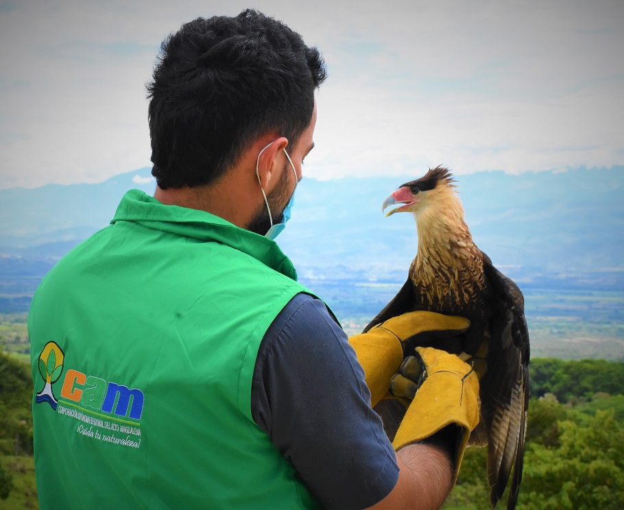 CAM LIBERA CARACARA 5