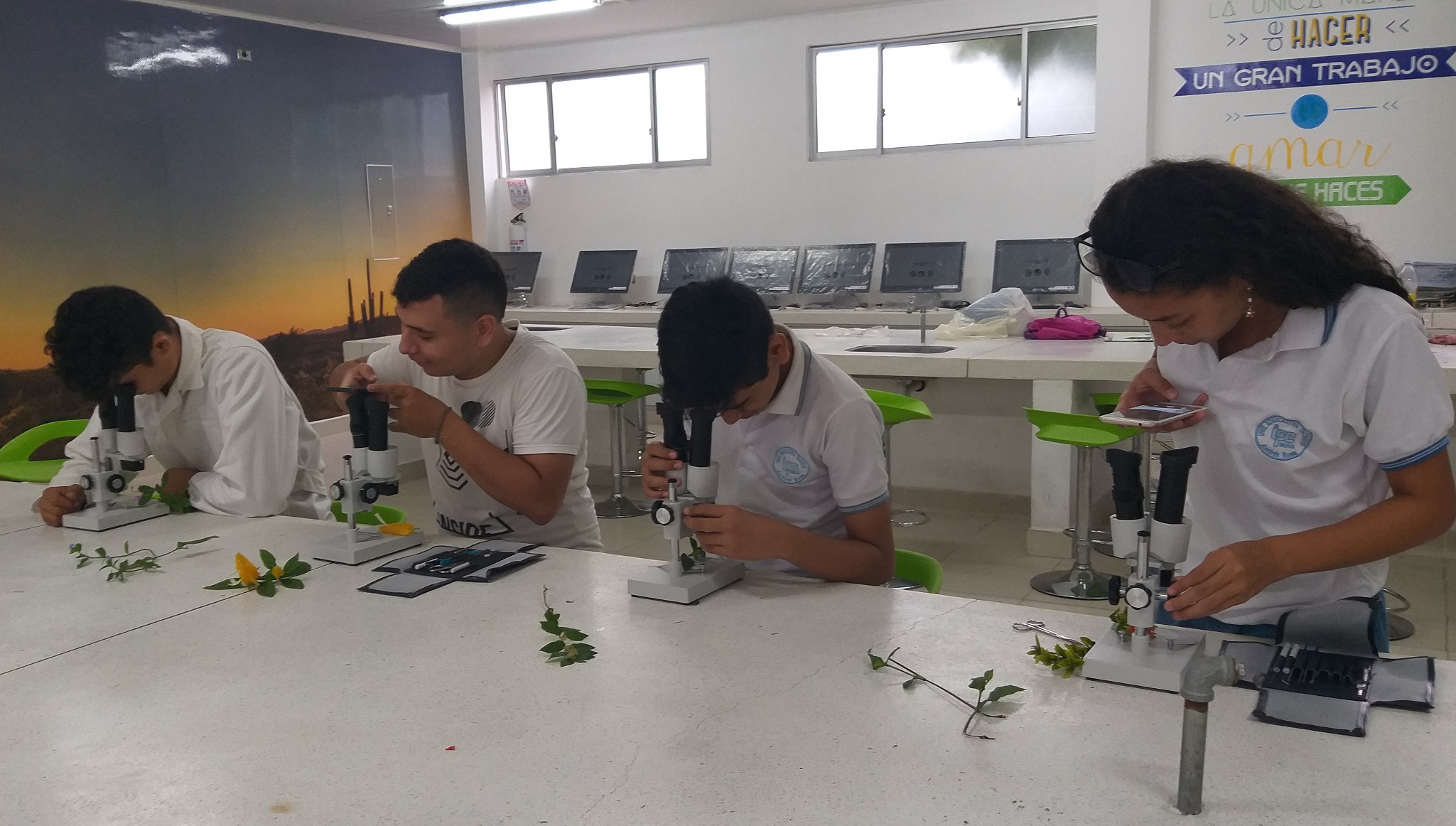 Evidencia 1 PRAE I.E. Tecnico IPC Andres Rosa