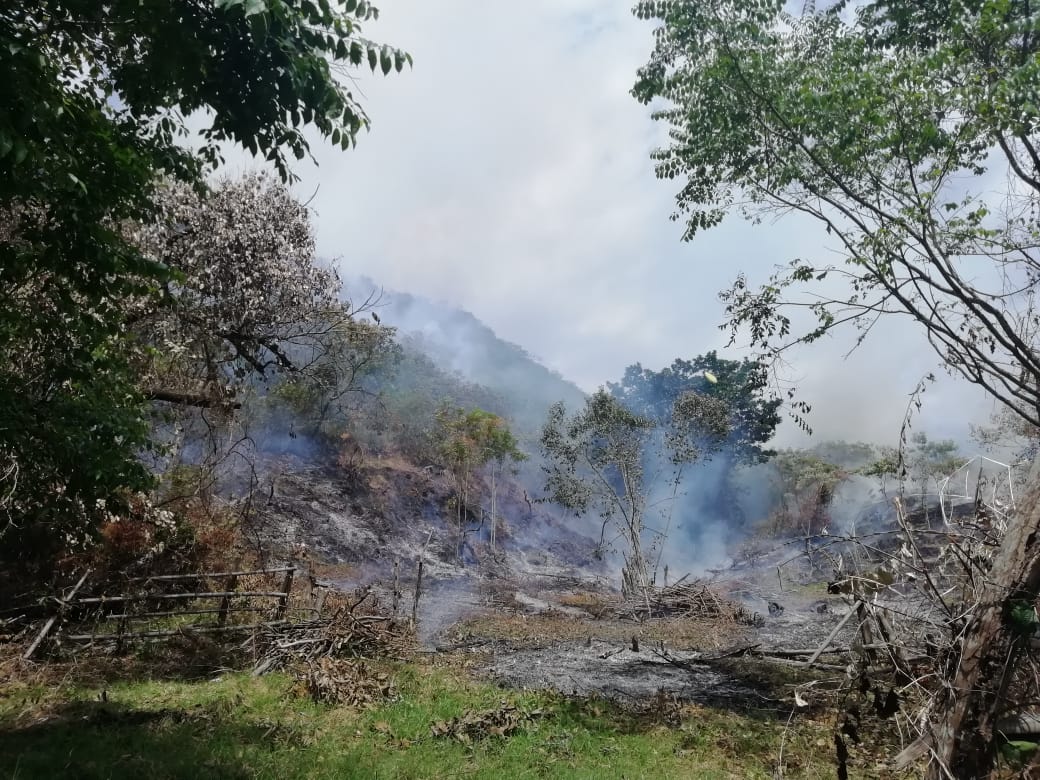 INCENDIOS DE COBERTURA VEGETALL 2020 2