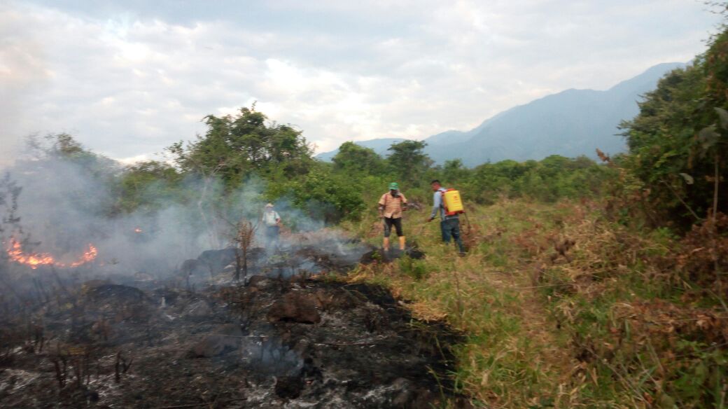 INCENDIOS DE COBERTURA VEGETAL 2018 3