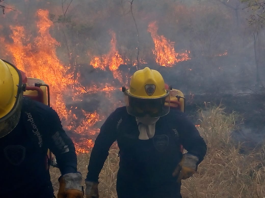 INCENDIOS DE COBERTURA VEGETAL 5
