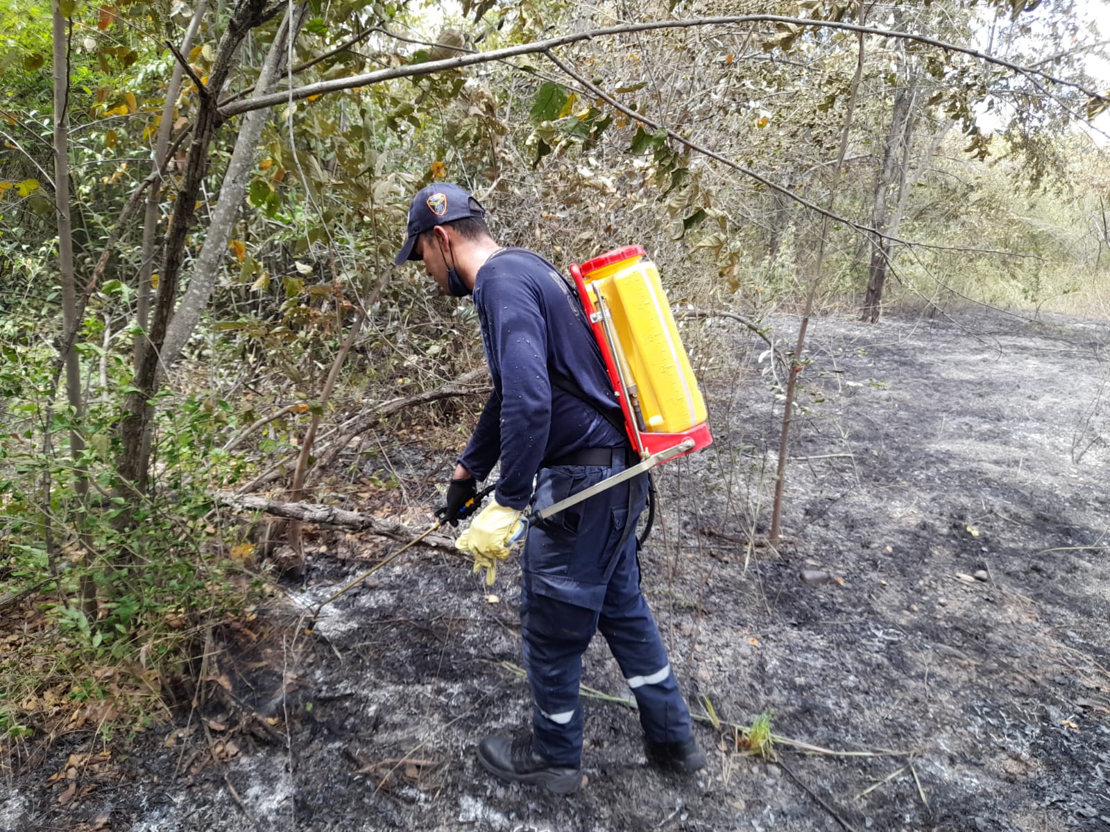 INCENDIO DE COBERTURA VEGETAL 2