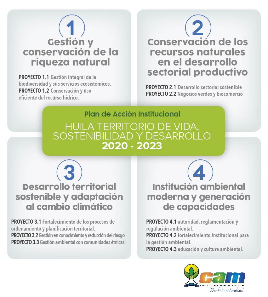 PLA DE ACCION 01