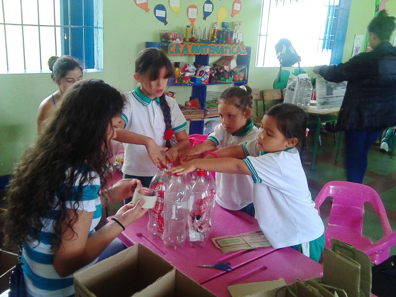PROYECTOS AMBIENTALES ESCOLARES 2018 2