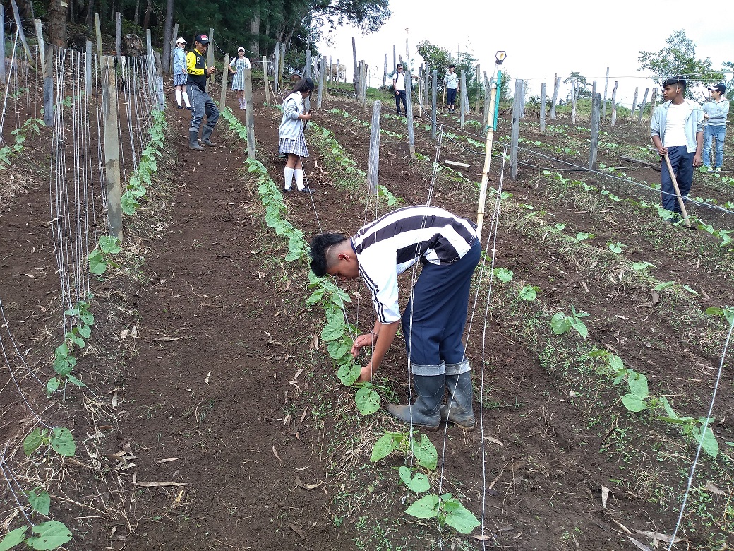 PROYECTOS AMBIENTALES ESCOLARES PRAES 3
