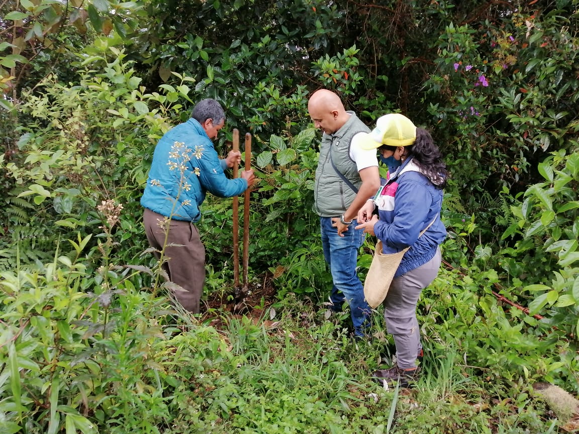 REFORESTACION EL ROSARIO SAN AGUSTIN 1