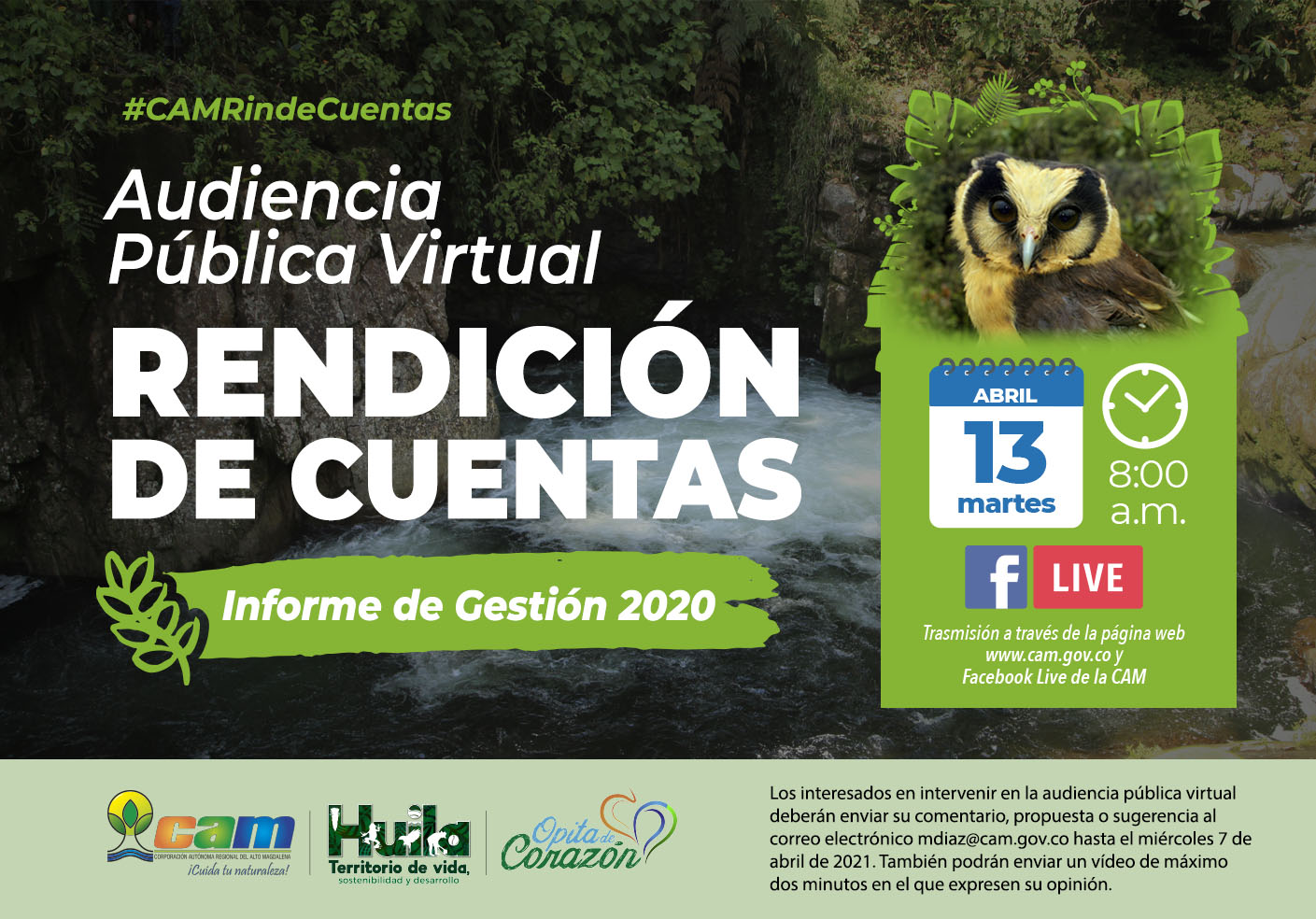 RENDICION DE CUENTAS