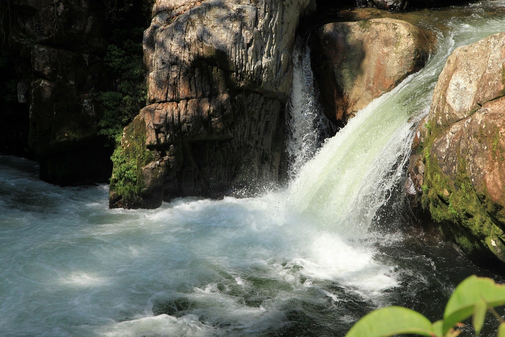 SENDERO LOS CHORROS SAN ADOLFO ACEVEDO 8